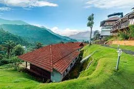 Dream Coconut Villa in Munnar