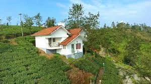 Falcon Crest Resort In Vagamon