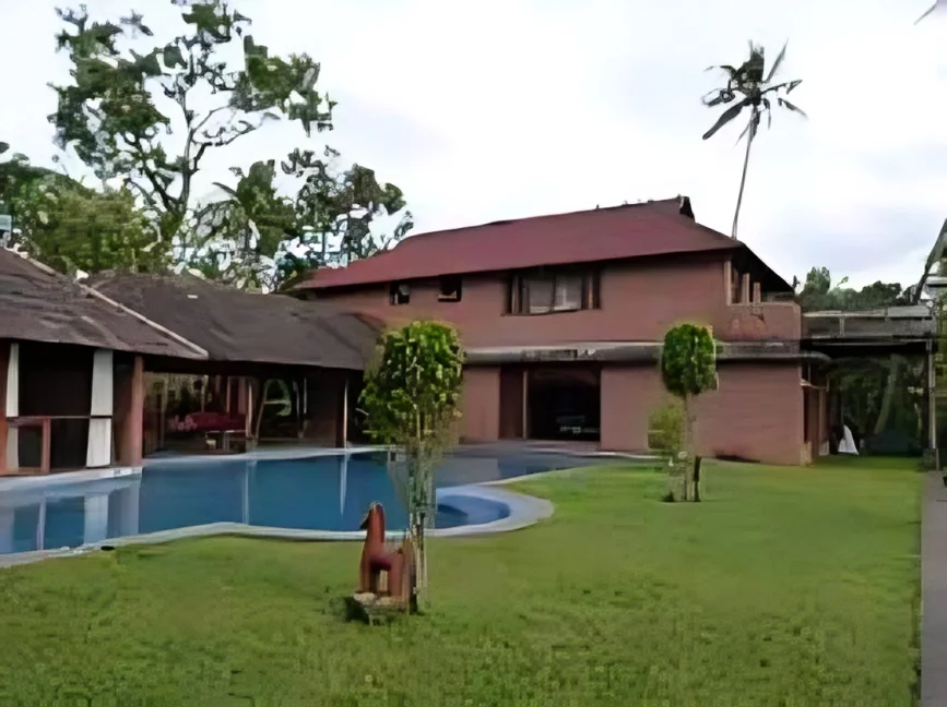 lily Pad In Kumarakom